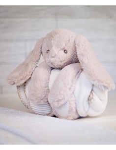 M-MM034-Rabbit And Blanket 2